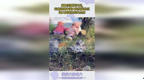 缅甸果敢云南大妈吃瓜,缅甸瓜香四溢，大妈们吃瓜乐趣多