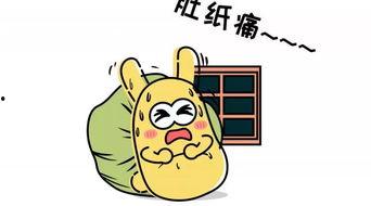 吃瓜群众都有哪些东西,揭秘吃瓜群众必备的五大神器