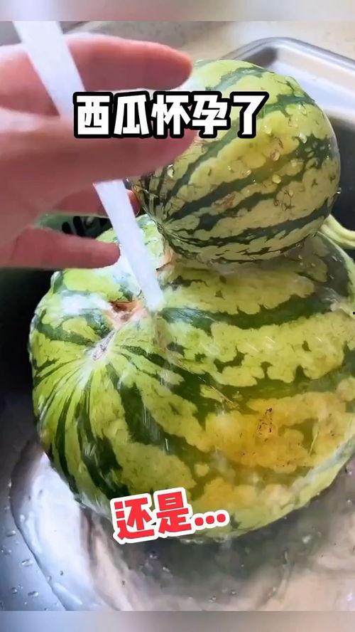 吃瓜视频真假版,揭秘吃瓜视频背后的真相