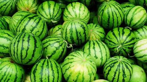 兴风作浪吃瓜,揭秘网络舆论场的风云变幻