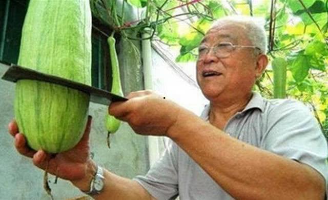 山东潍坊吃瓜被砍,一男子因吃瓜被砍，事件背后引关注