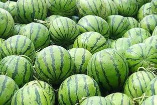 吃瓜群众超有料