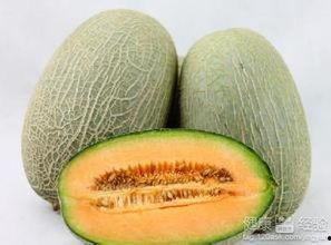 哈密瓜吃哈密瓜上火吗,美味解渴，上火风险几何？