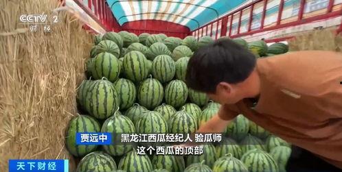 楼顶吃瓜,揭秘高空视角下的社区生活百态