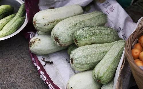 杏岭实验吃瓜,揭秘吃瓜背后的科学奥秘