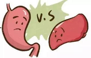 吃瓜后突然腹痛