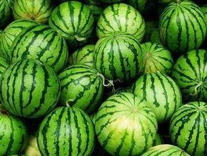 南昌市吃瓜,吃瓜群众的味蕾盛宴