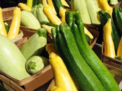 吃瓜xz112,xz112的瓜界传奇