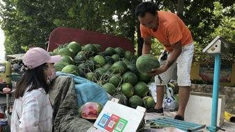 山东济宁学院吃瓜