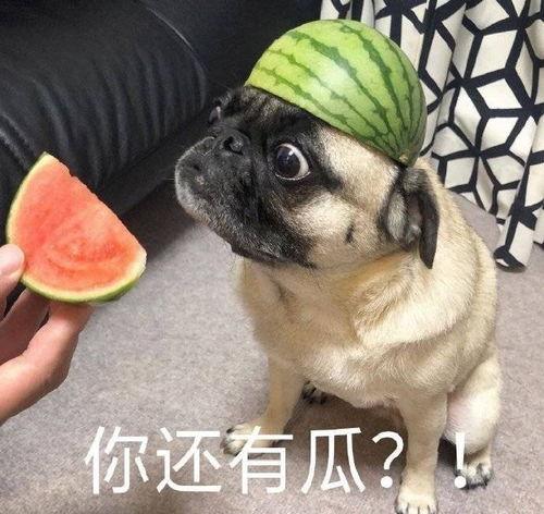 最近喝酒吃瓜事件,揭秘近期火爆的“喝酒吃瓜”事件背后真相