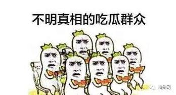 撞人 吃瓜,吃瓜群众围观真相
