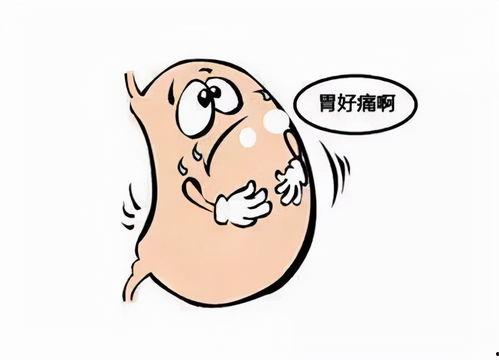 我胃疼吃瓜,探寻缓解胃痛的美食疗法