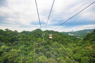 山东缆车情侣吃瓜,高空浪漫遭遇围观热议