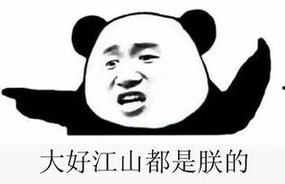 吃瓜请进群,揭秘网络社交新潮流