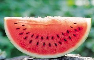 泰州吃瓜热门事件,一场引发全民热议的网络狂欢