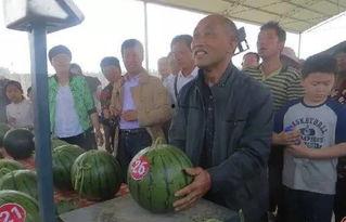 吃瓜42,一场全民热议的瓜界盛宴