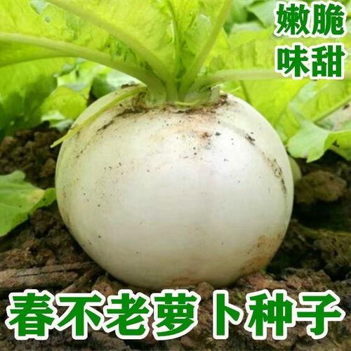 元梦吃瓜不吐籽,揭秘娱乐圈幕后真相