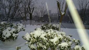 雪景吃瓜,冬日里的别样风情