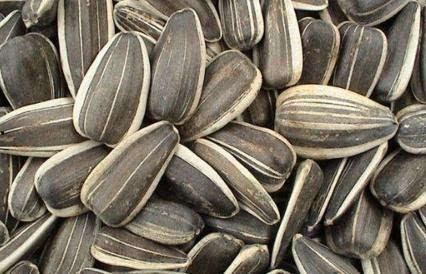 孕期吃瓜的好处,营养健康，助力母婴健康成长